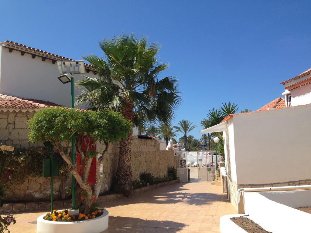 Apartment Paraiso Royal Playa de las Americas  Luaran gambar